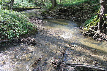 Mittelgebirgsbach