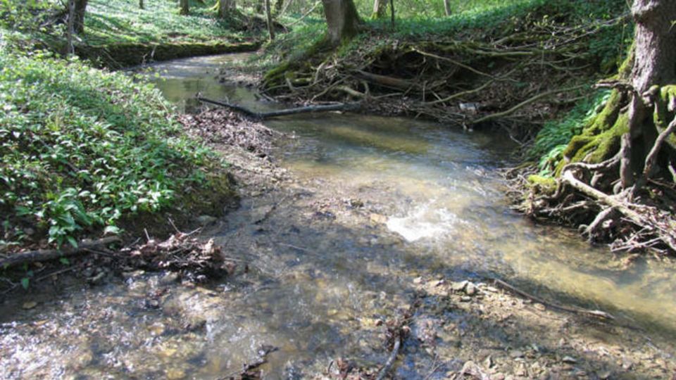 Mittelgebirgsbach