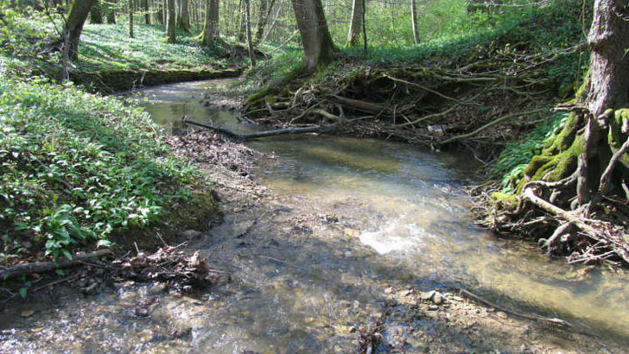 Mittelgebirgsbach