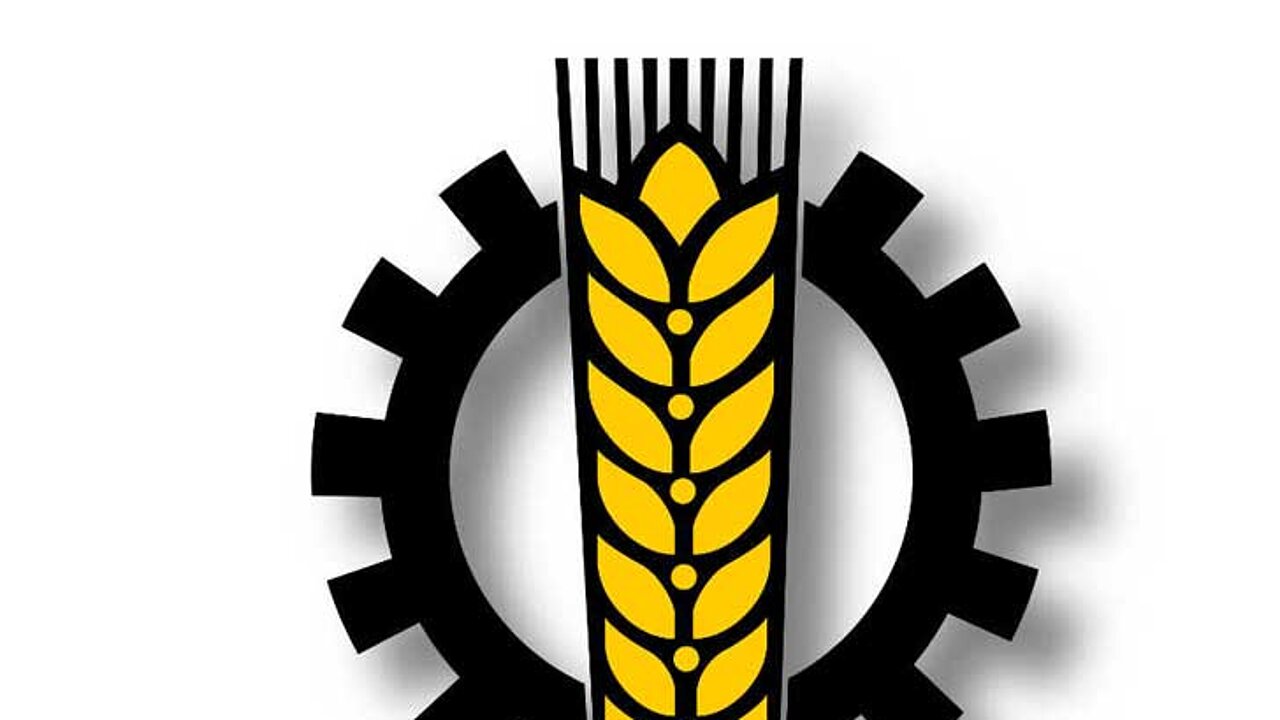 BLU Logo