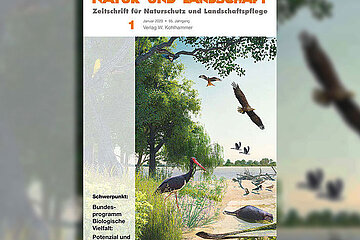Schwerpunktausgabe