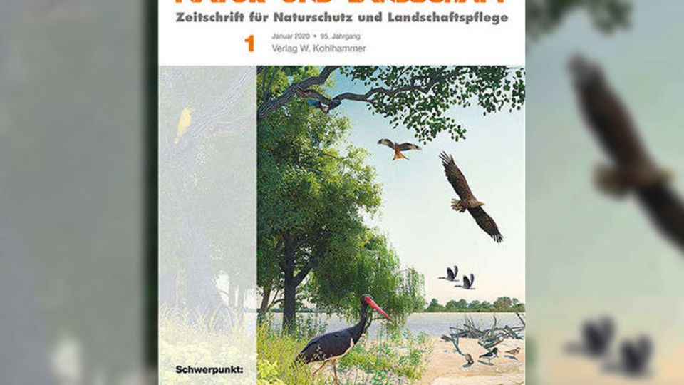 Schwerpunktausgabe