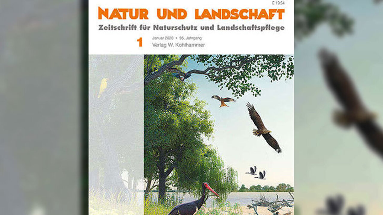 Schwerpunktausgabe