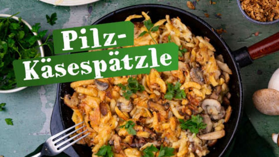 Pilzrezepte