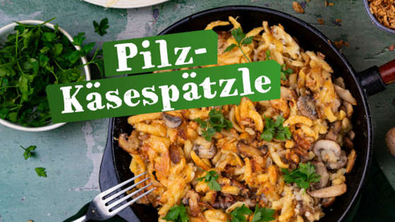 Pilzrezepte