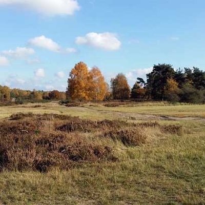 Wahner Heide