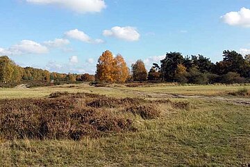 Wahner Heide