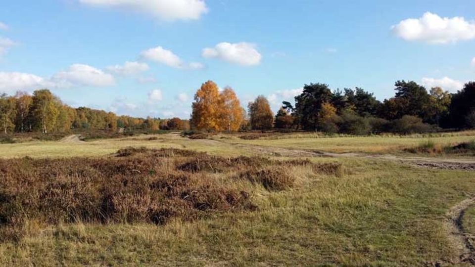 Wahner Heide