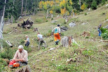 Waldprojekt St. Stephan