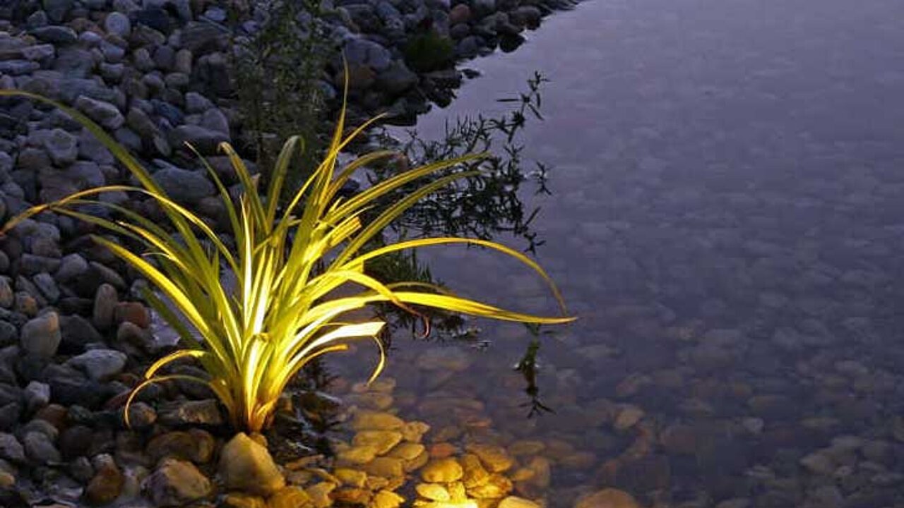 Lichtakzente am Gartenteich
