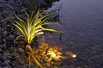 Lichtakzente am Gartenteich