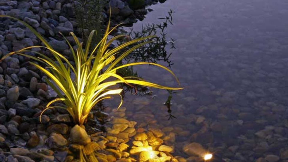 Lichtakzente am Gartenteich