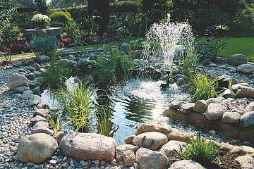 Image-15793