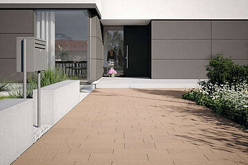 Image-12071