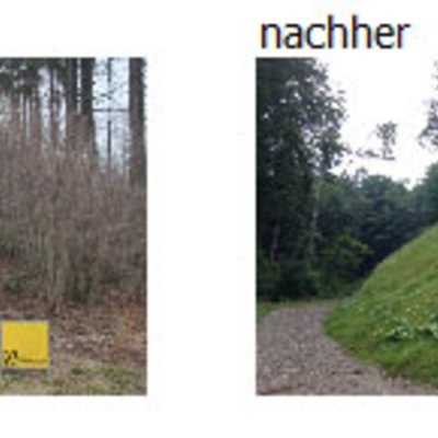 Lindner-Naturfasermatten