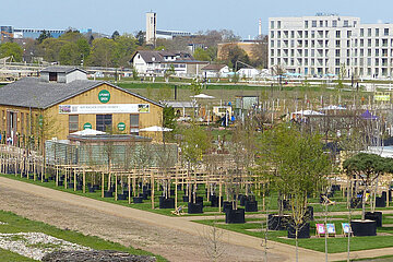 Image-16635