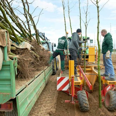 Baumschuler bei der Arbeit