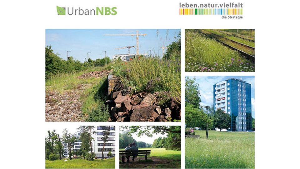 biologische Vielfalt in Städten