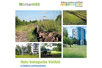 biologische Vielfalt in Städten