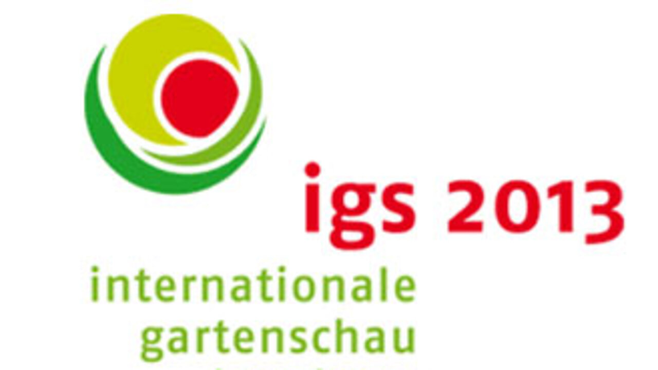igs 2013 logo