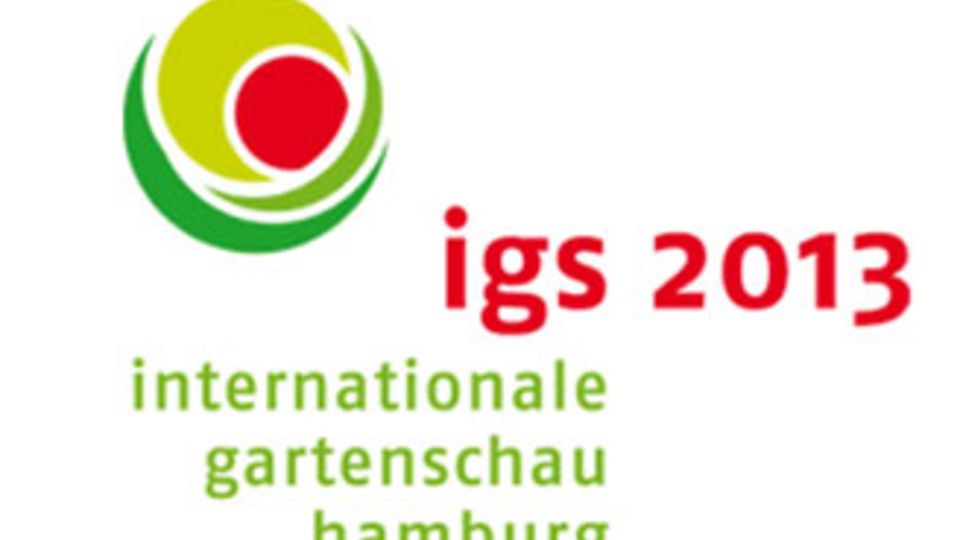 igs 2013 logo