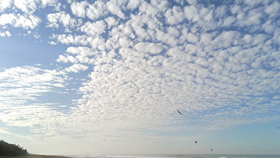 Cirrocumulus