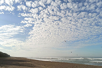 Cirrocumulus