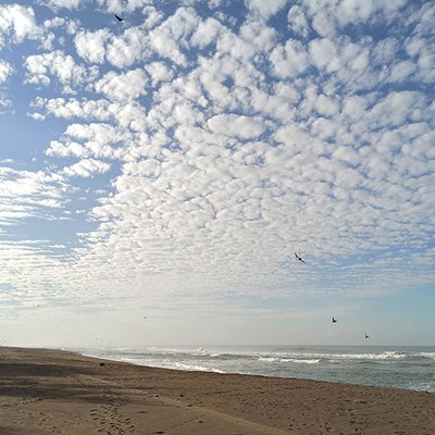 Cirrocumulus