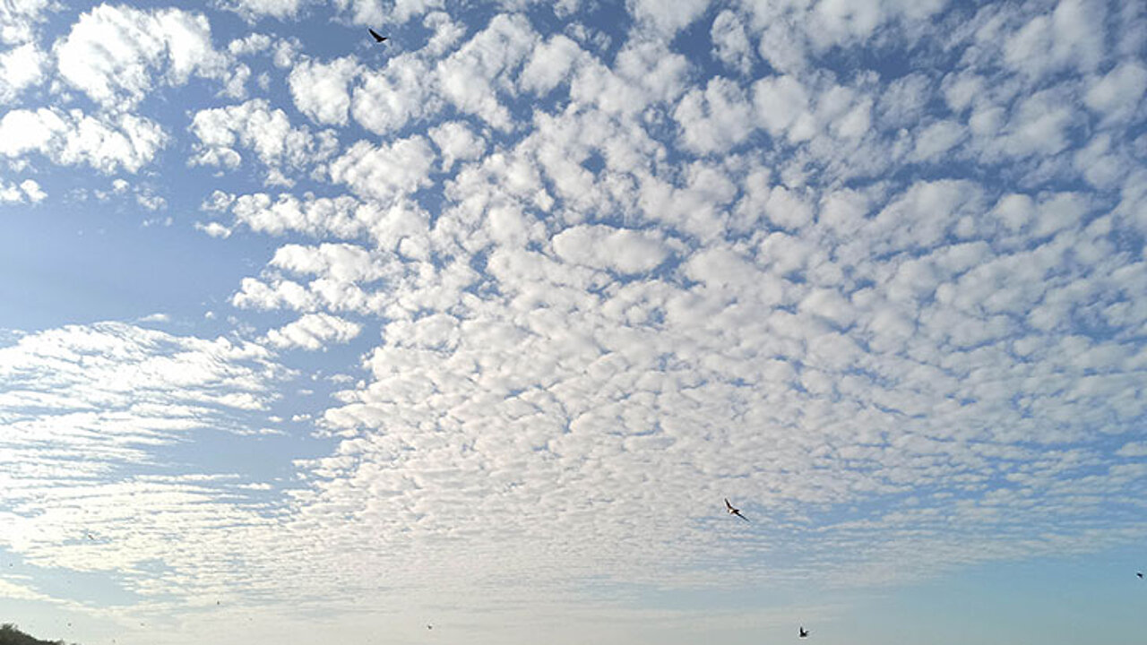 Cirrocumulus