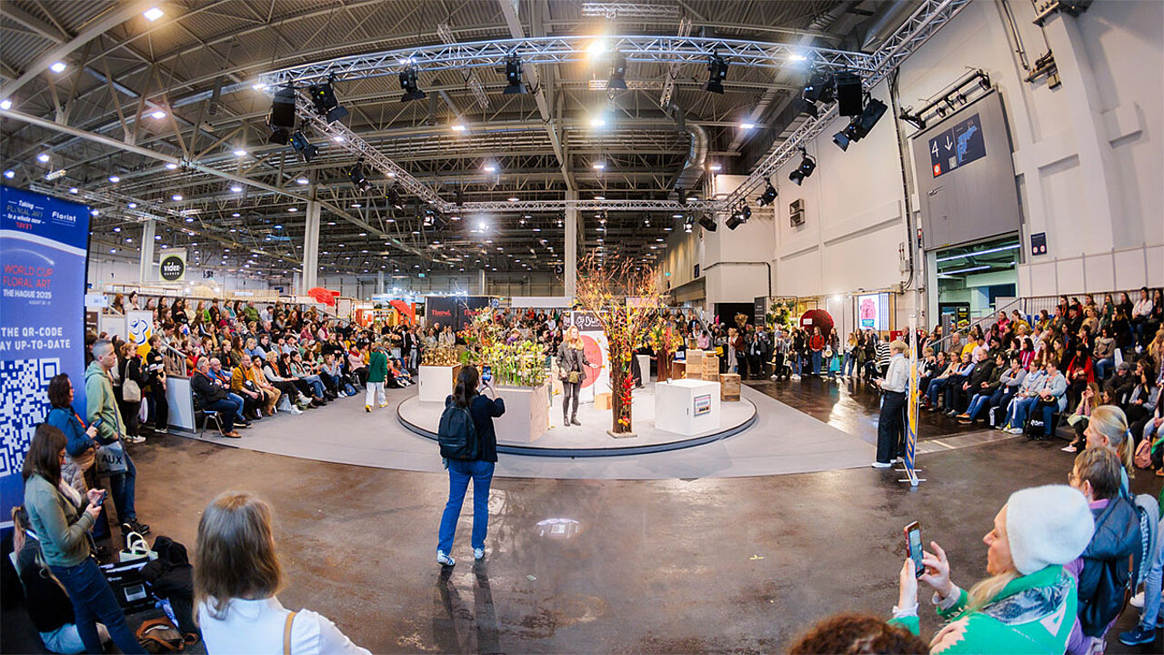 Live-Shows