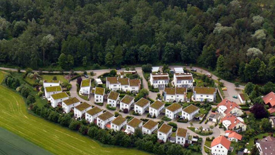 Dachbegrünung