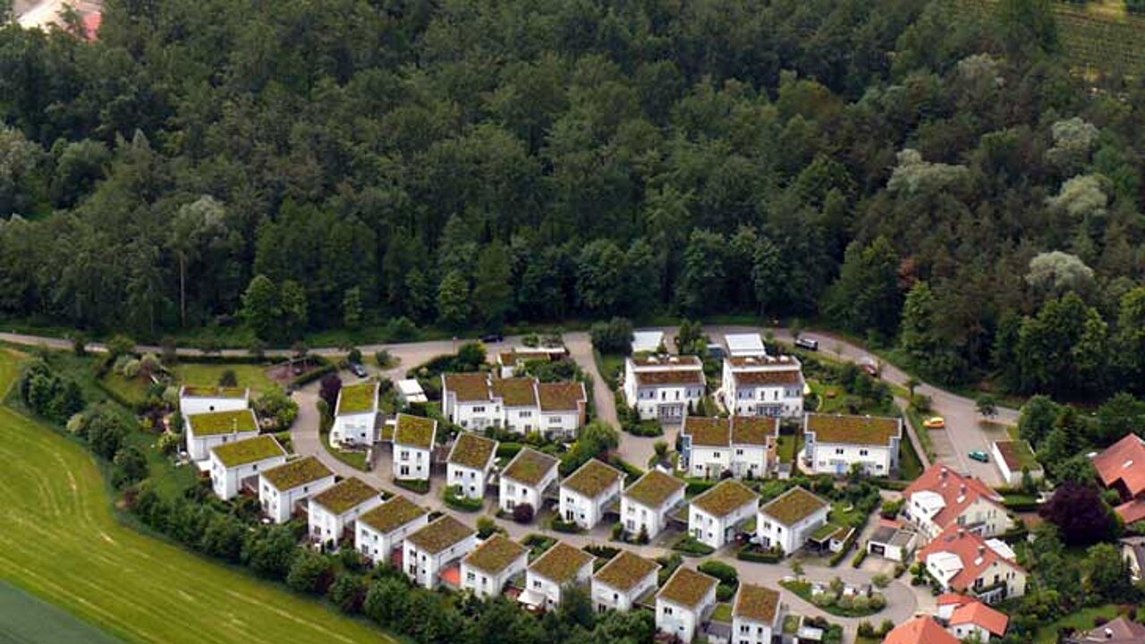 Dachbegrünung