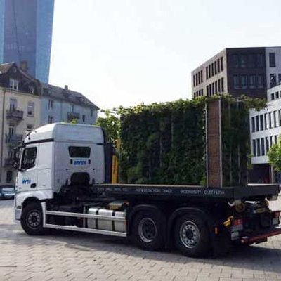 Das Grüne Zimmer