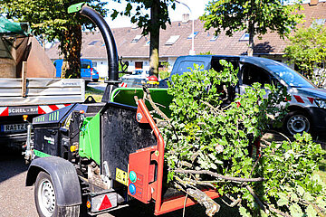 Image-13416
