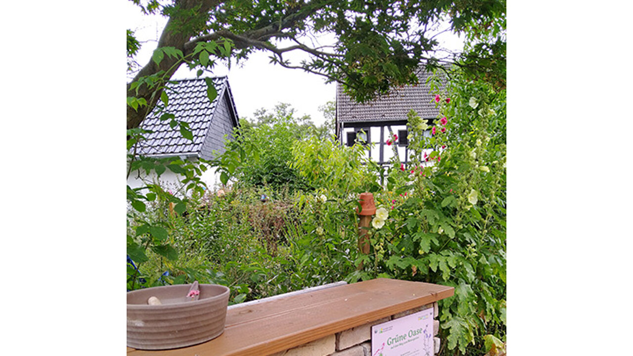 Vorgartenvideo aus Siegburg