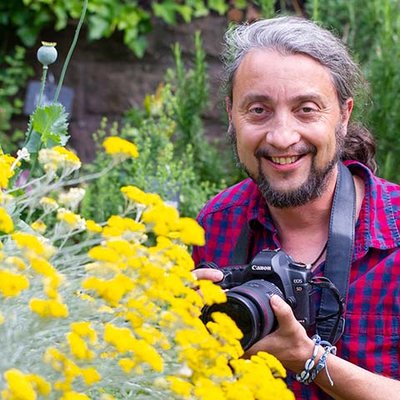 Gartenfotograf Staffler - Schotterwüsten