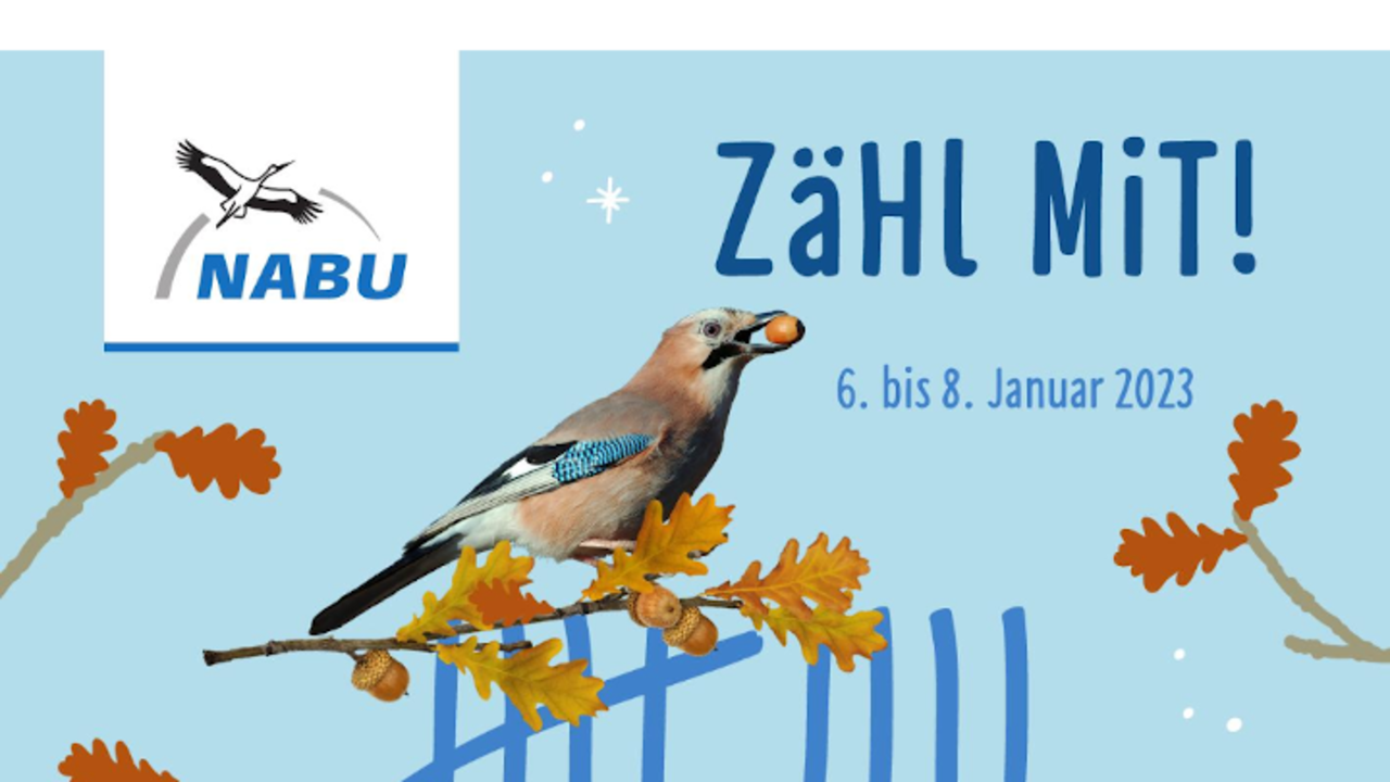 image-15789