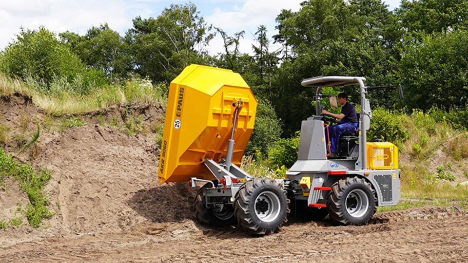 Paus Dumper