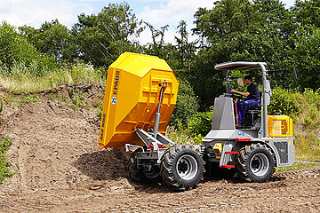 Paus Dumper