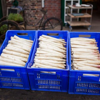 Spargel