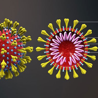 Corona-Virus