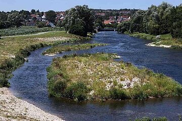 Donaurenaturierung