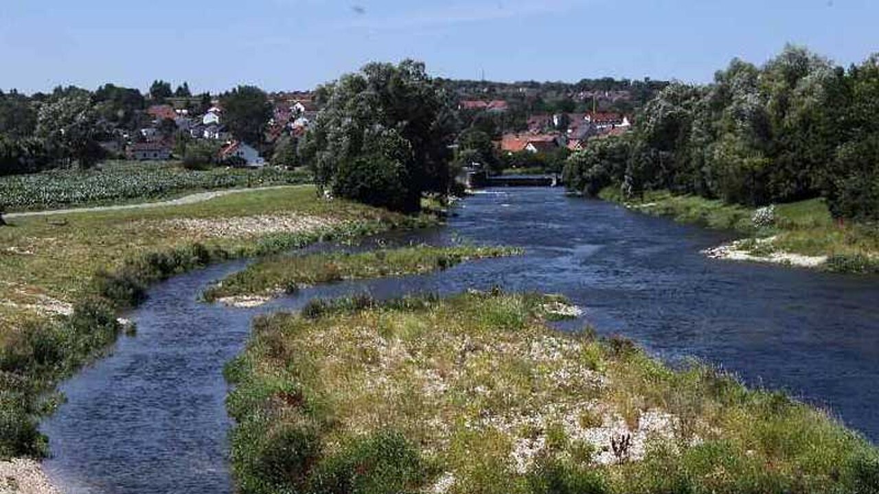 Donaurenaturierung