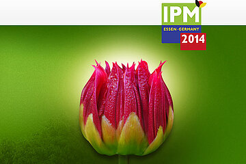 IPM Essen