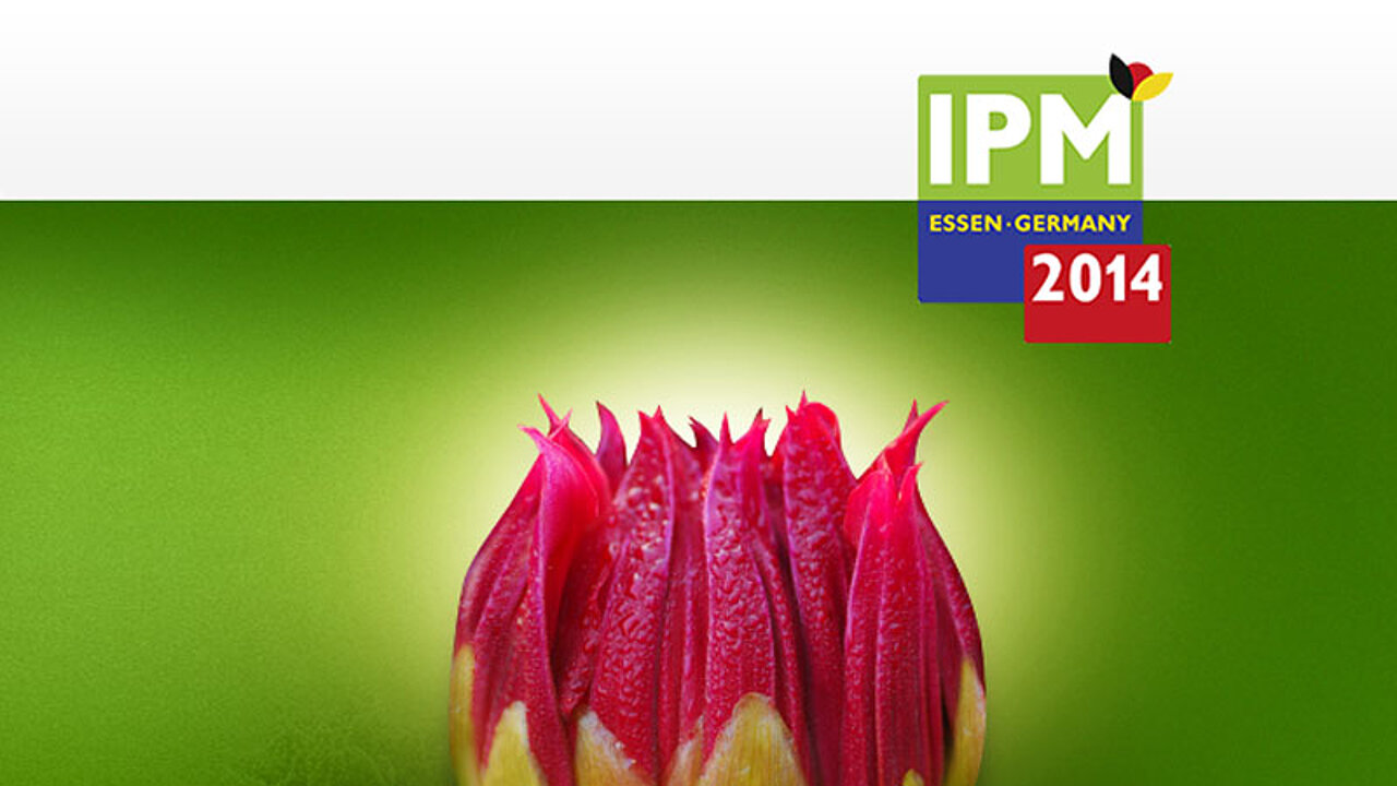 IPM Essen