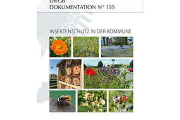 Insektenschutz in Städten