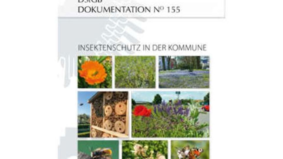 Insektenschutz in Städten