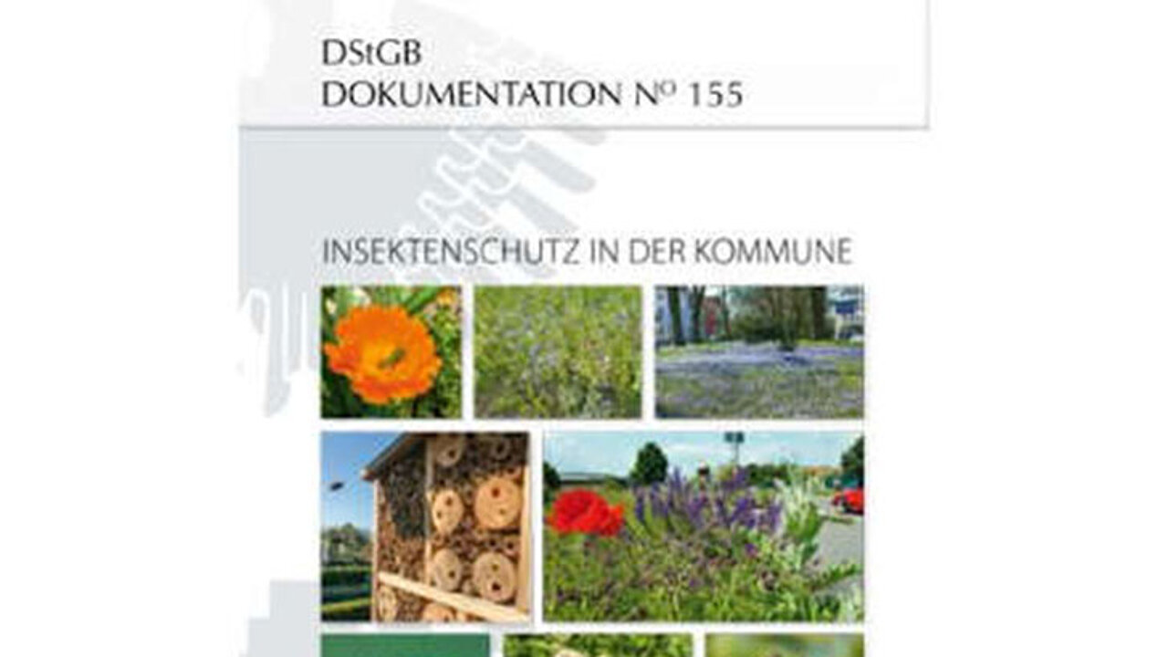 Insektenschutz in Städten