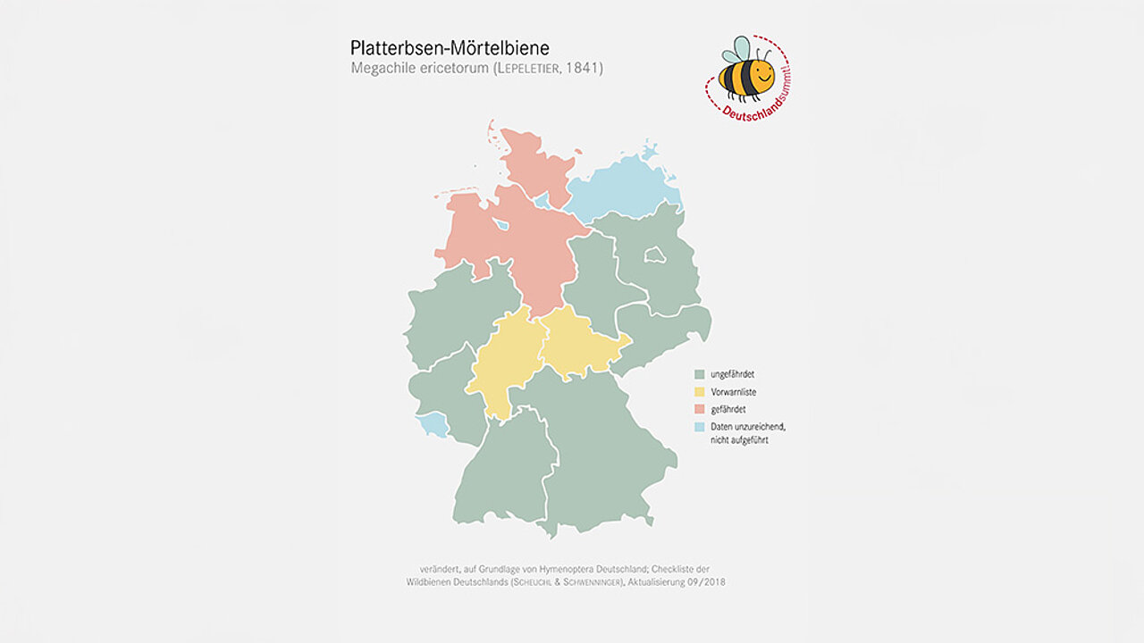 Platterbsen-Mörtelbiene Verbreitung
