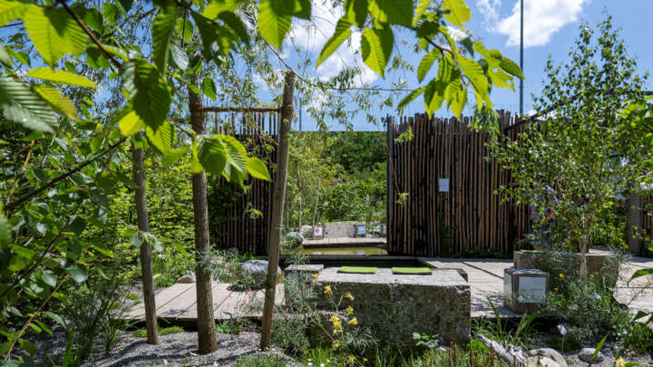 Schönster Garten